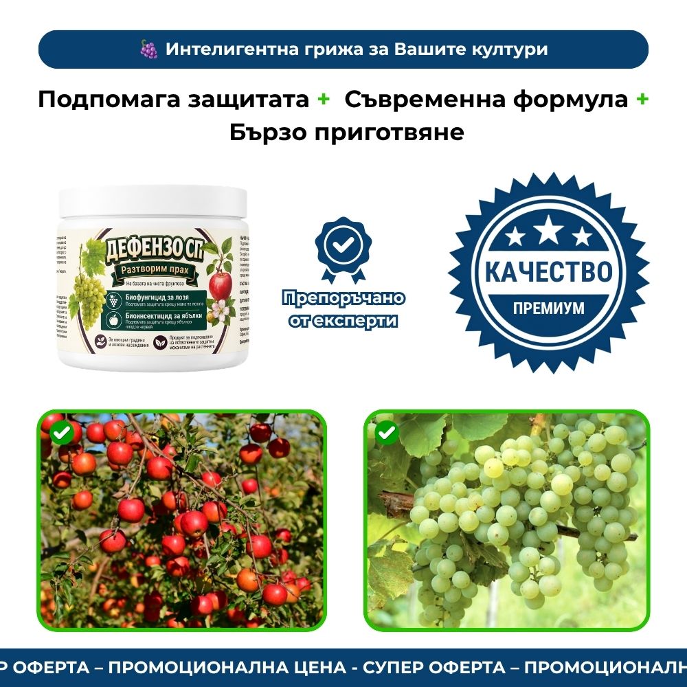 ДЕФЕНЗО СП