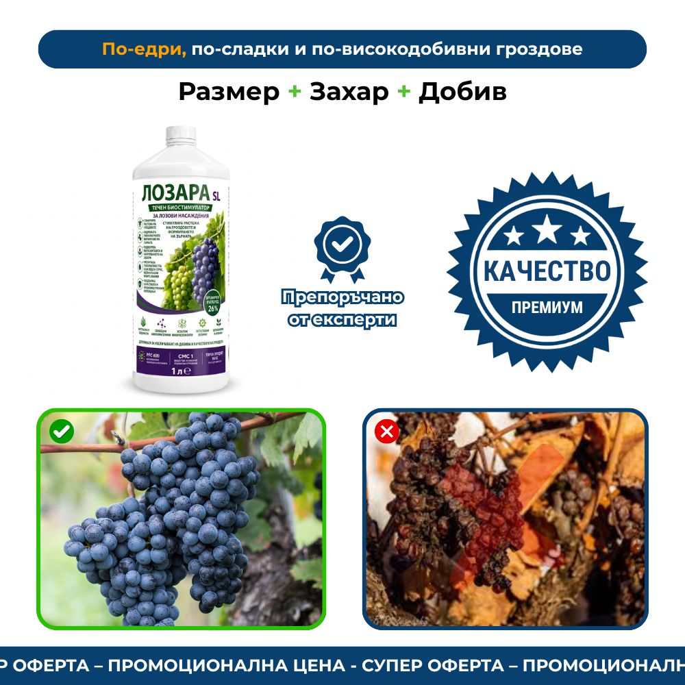 ЛОЗАРА – Биостимулатор за грозде