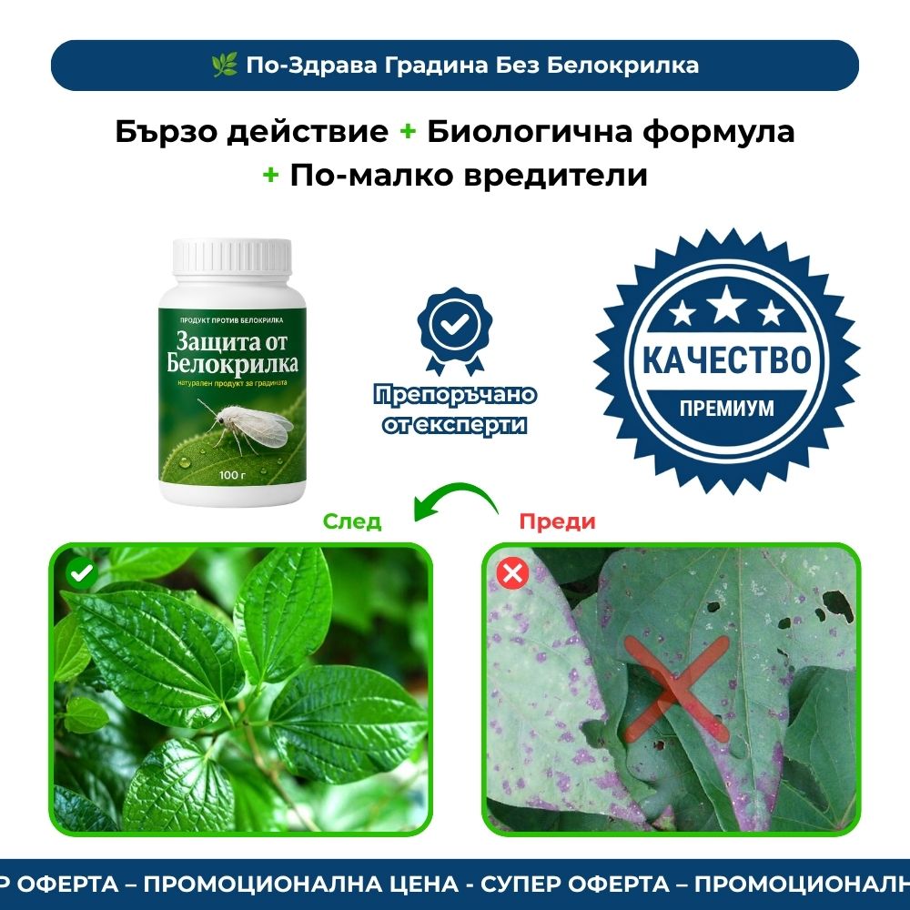Защита от Белокрилка