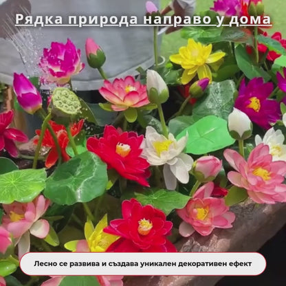 Семена от лотос